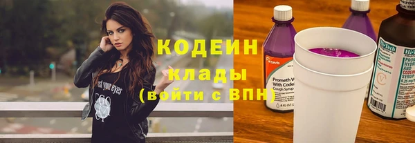 твердый Богданович