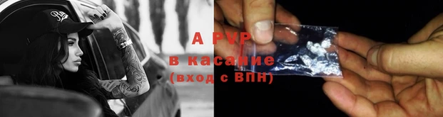 твердый Богданович