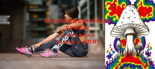 твердый Богданович