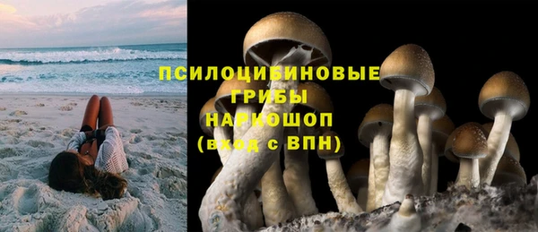 твердый Богданович