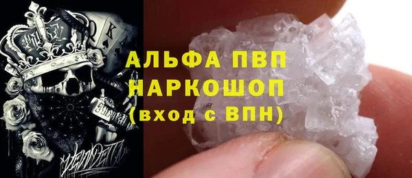 ПСИЛОЦИБИНОВЫЕ ГРИБЫ Бородино